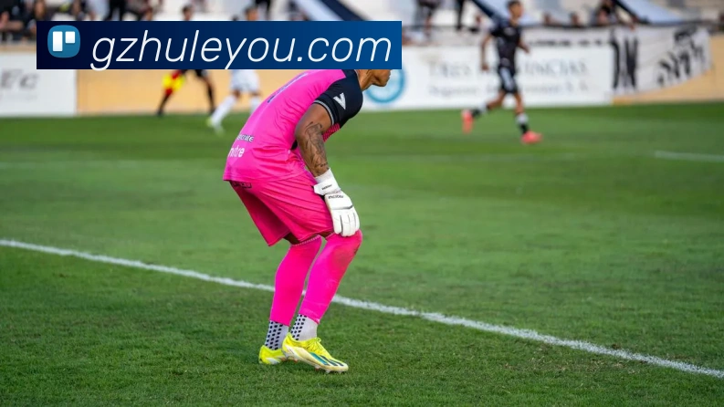 九游j9最新官网地址发展历程